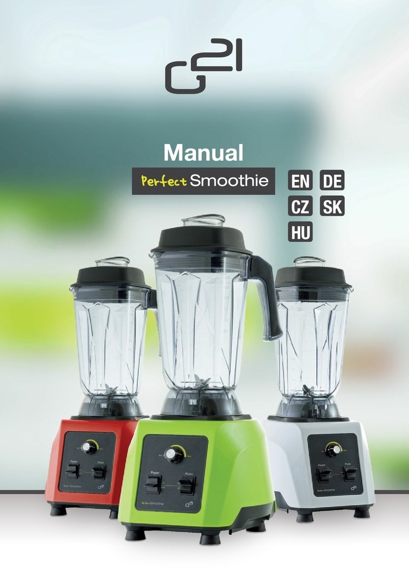 G21 Perfect Smoothie User manual