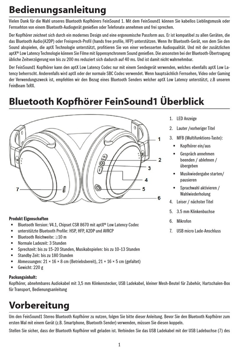 FeinTech FeinSound1 instruction manual