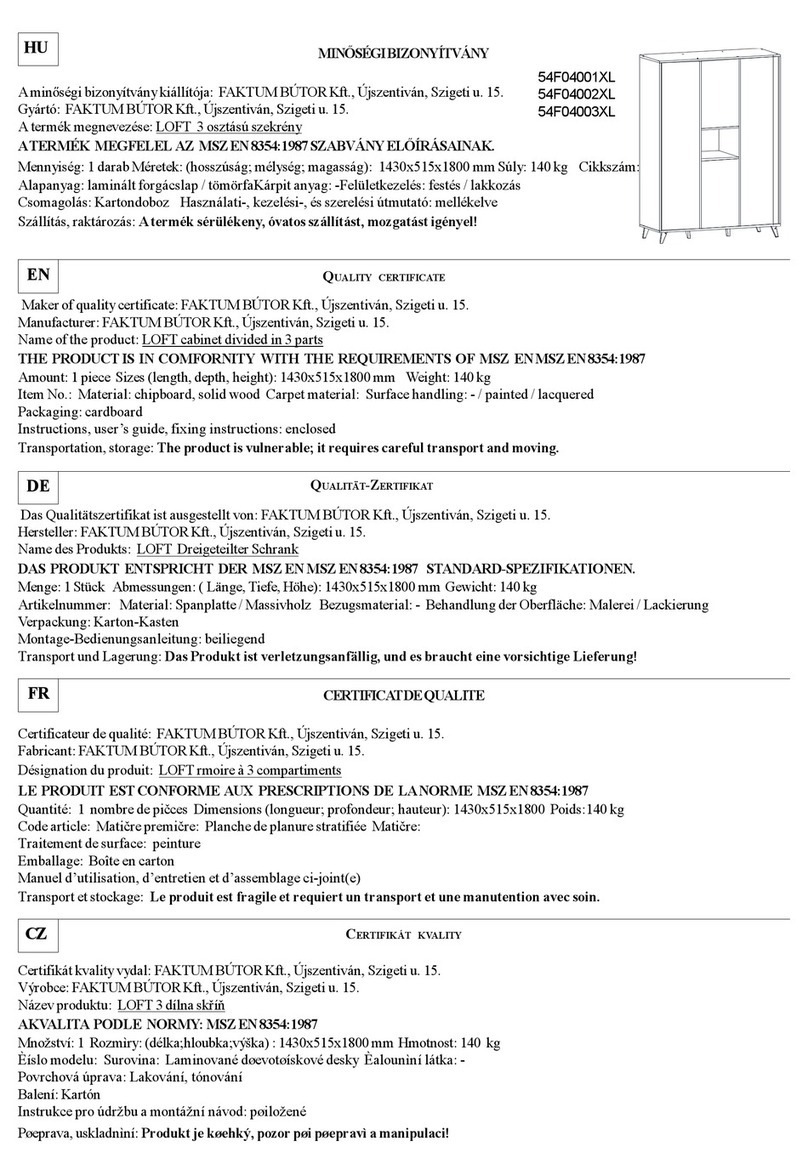 Faktum LOFT 54F04001XL manual