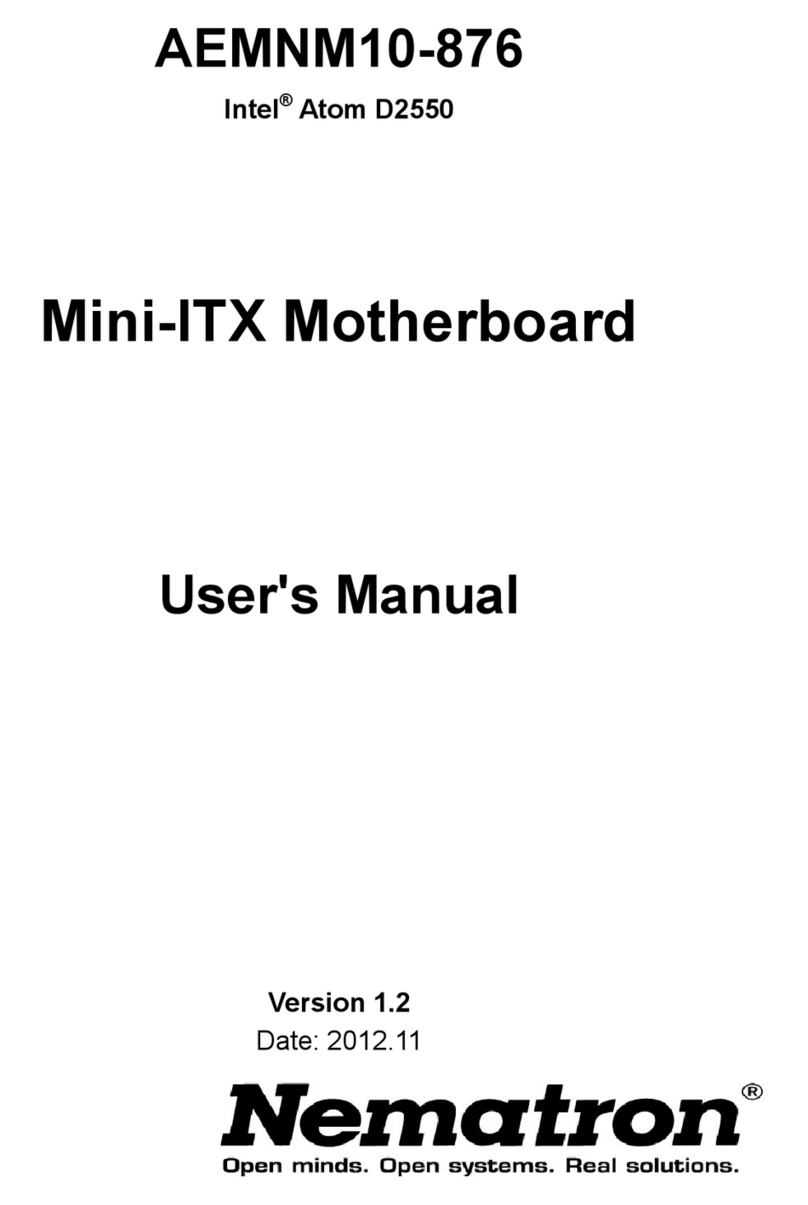 Nematron AEMNM10-876 user manual