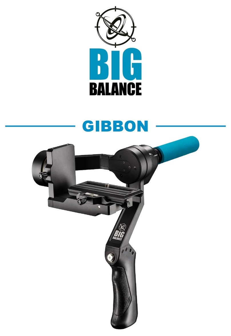 Big Balance GIBBON manual