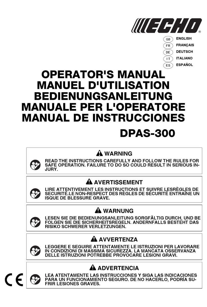 Echo DPAS-300 User manual