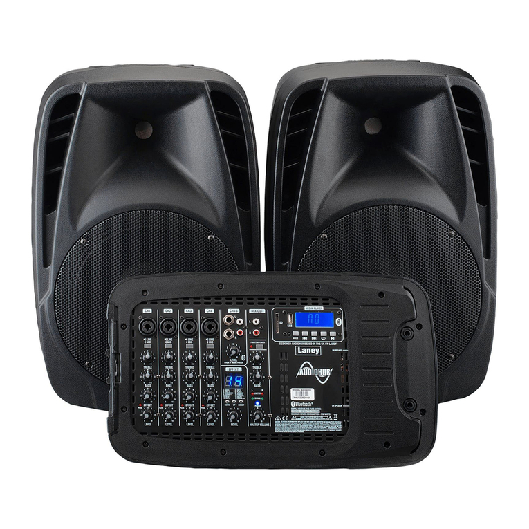 Laney Audiohub Venue AH2500D user manual