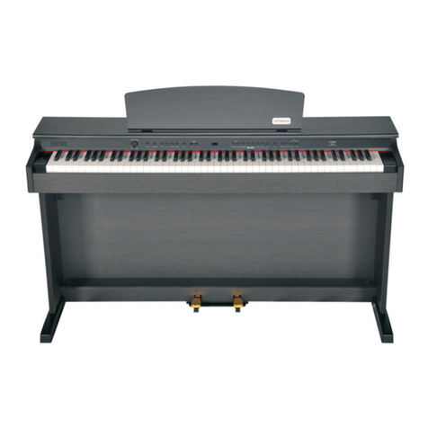 Virgin Musical Instruments Artesia DP-2 owner's manual