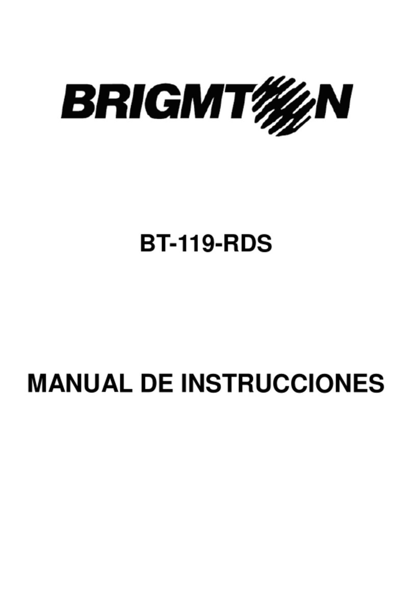 Brigmton BT-119-RDS Operation manual
