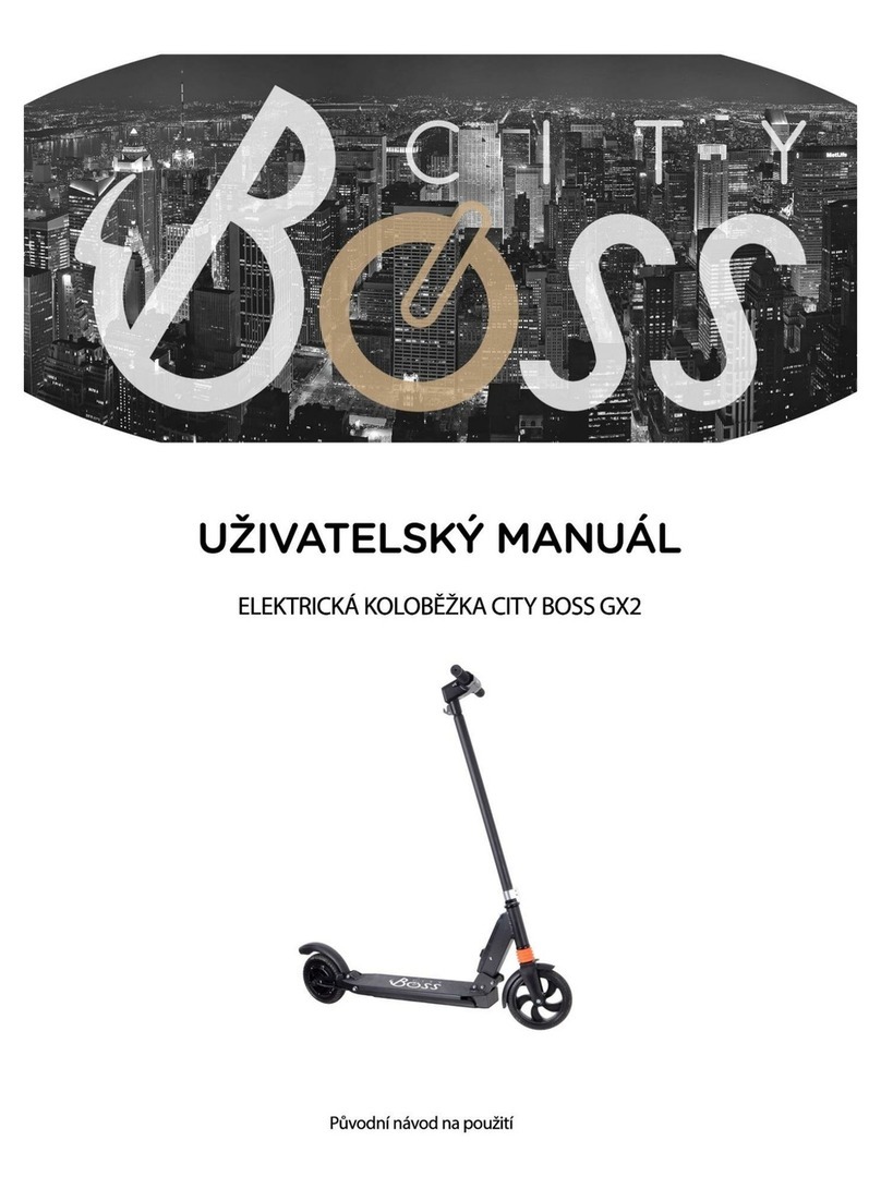 CITY BOSS GX2 user manual