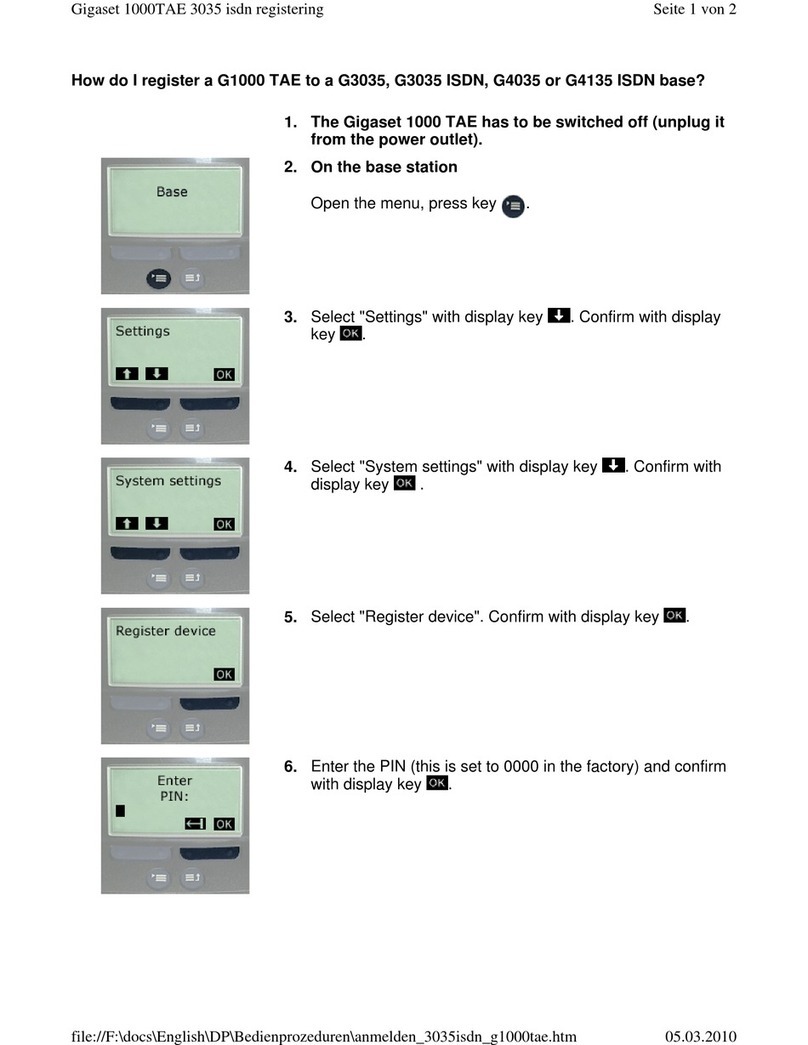 Gigaset 1000 TAE Operating instructions