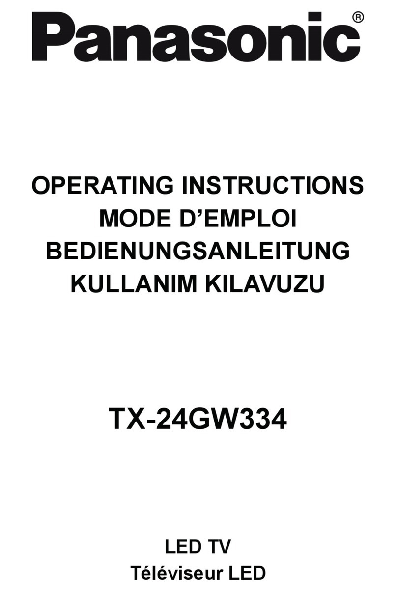 Panasonic TX-24GW334 User manual