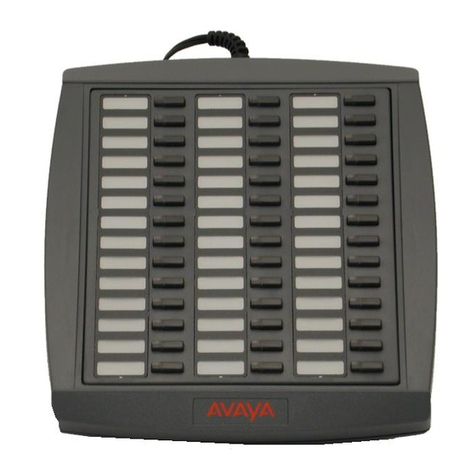 Avaya 20DS manual