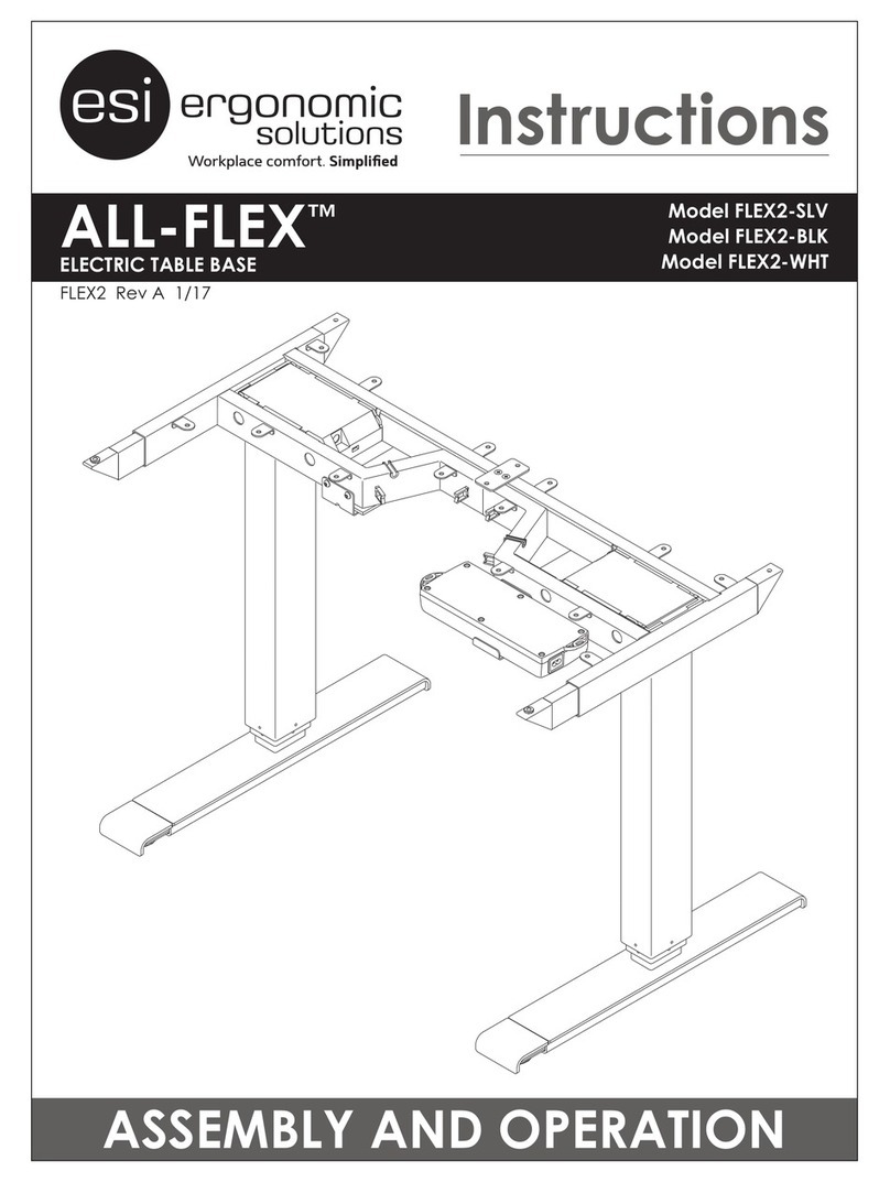 ESI FLEX2-SLV User manual ESI FLEX2-SLV User manual