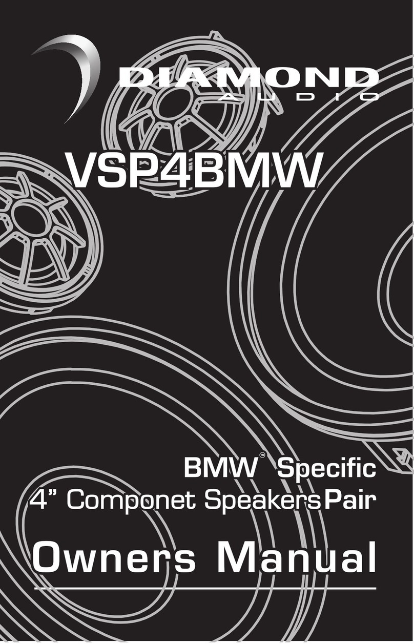 Diamond Audio Technology VSP4BMW User manual