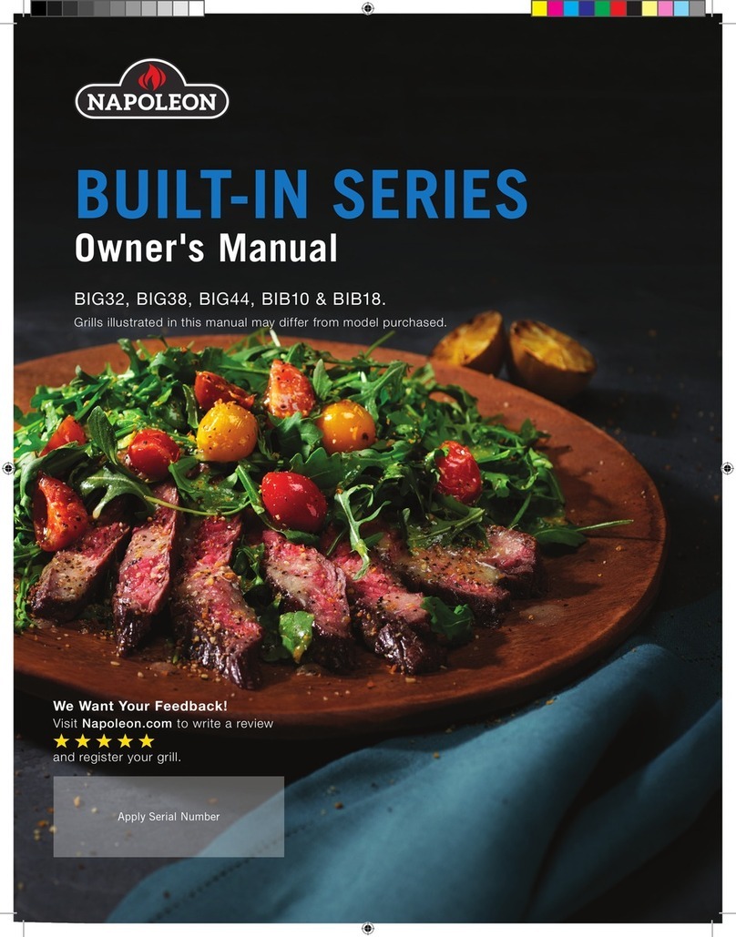Napoleon BUILT-IN Series User manual