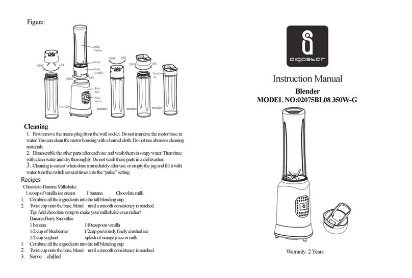 AIGOSTAR 02075BL08 350W-G User manual