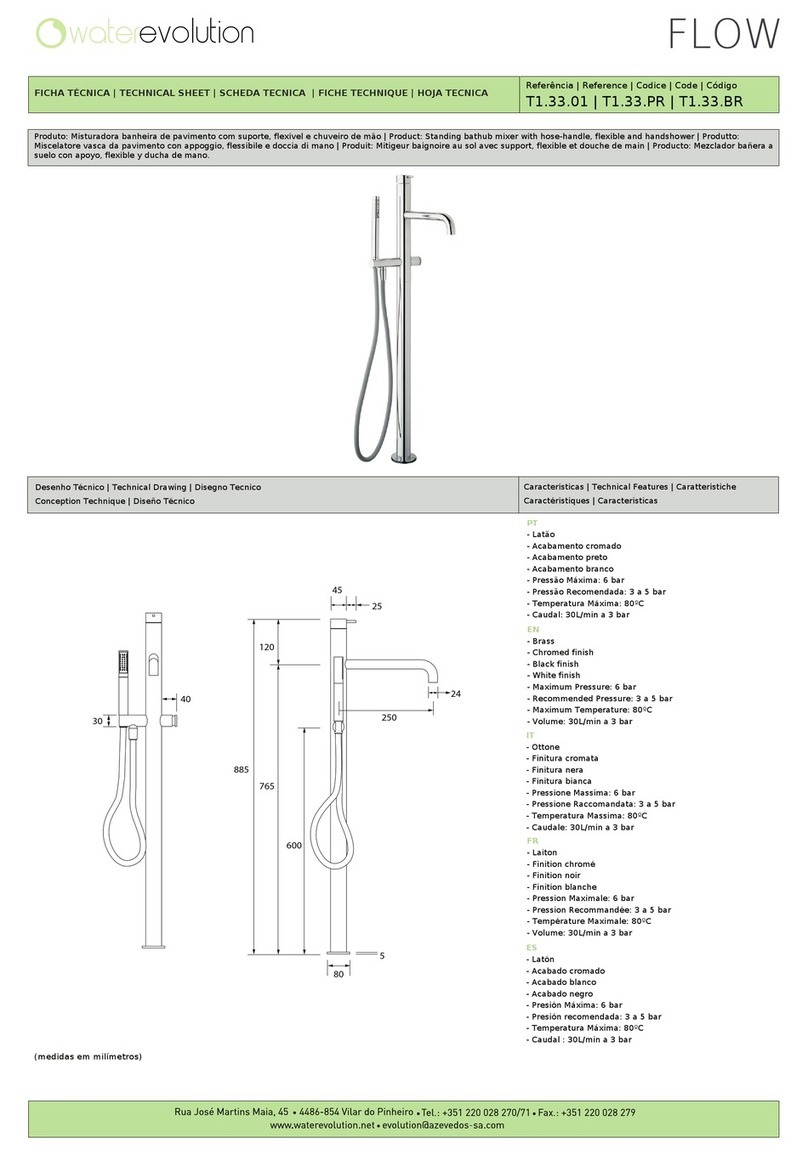 WaterEvolution FLOW T1.33.01 Technical sheet