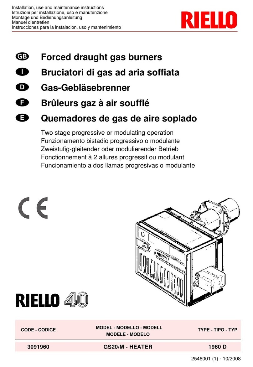 Riello GS20/M Quick start guide