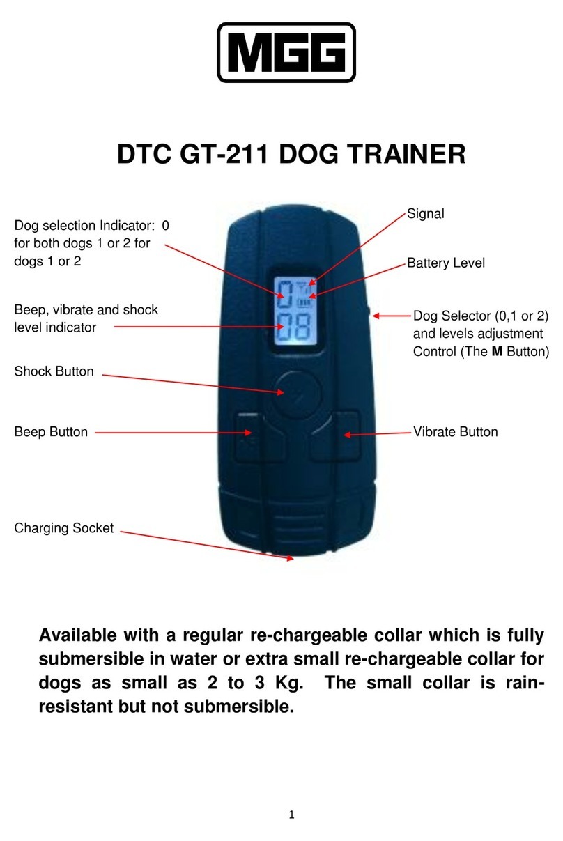 MGG DTC GT-211 User manual