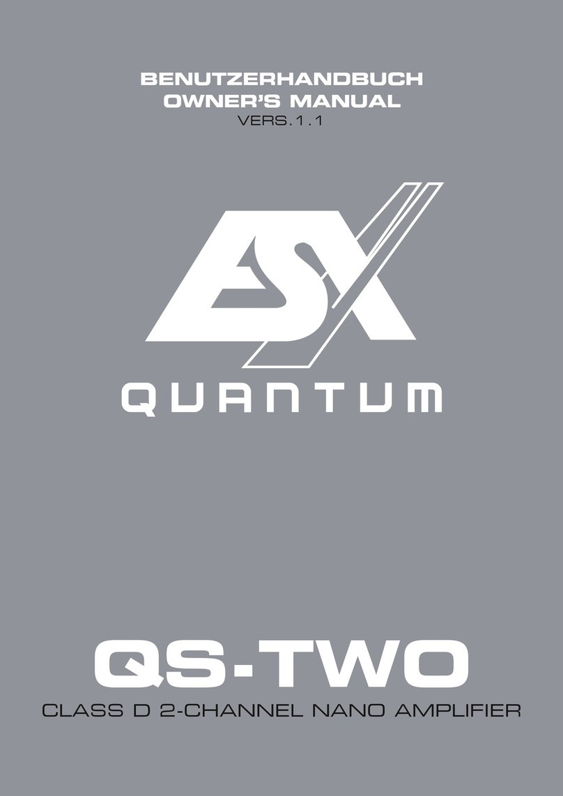 Audiodesign ESX QUANTUM QS-TWO User manual