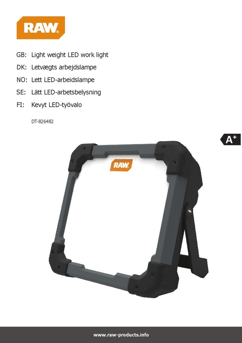 RAW DT-826482 quick start guide