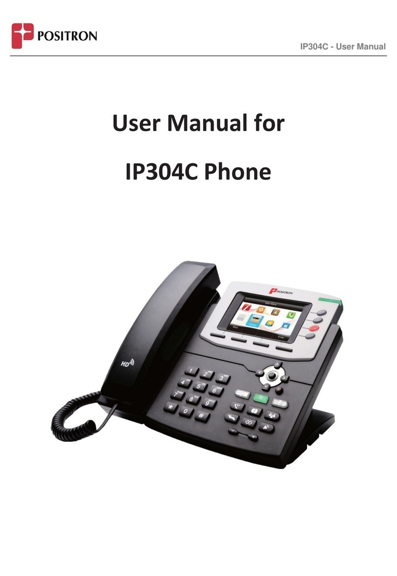 Positron IP304C user manual