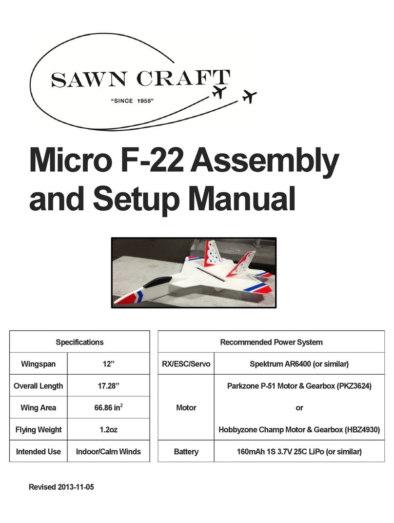 Sawn Craft Micro F-22 Assembly and setup manual