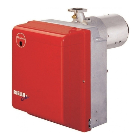 Riello RG5D Installation, use and maintenance instructions