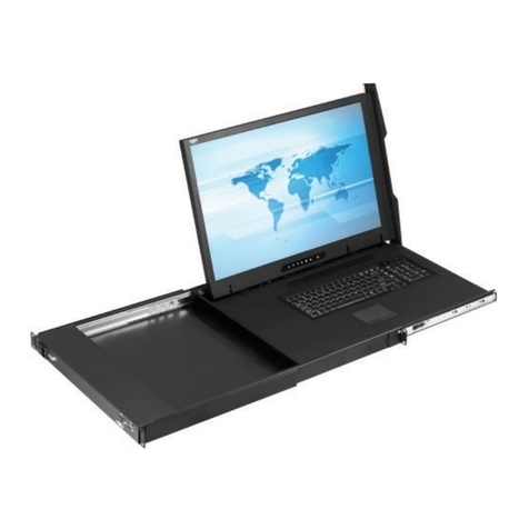 Austin Hughes CyberView X124 User manual