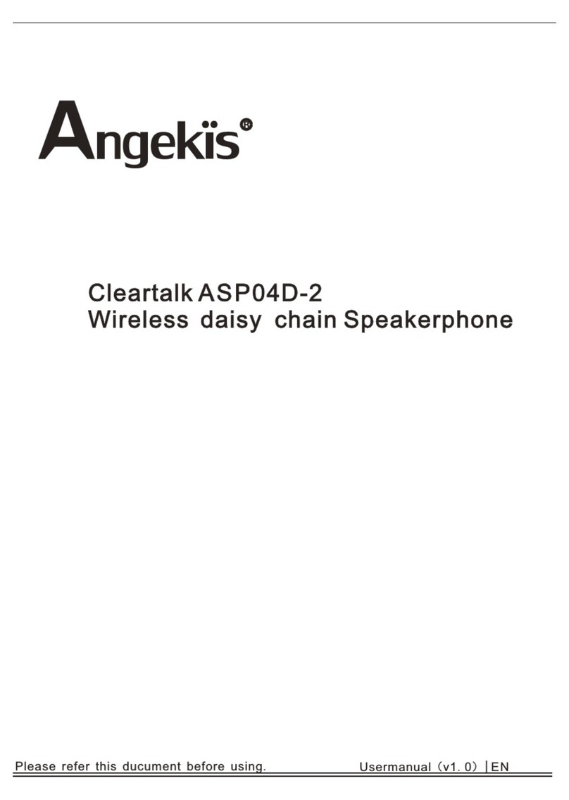 Angekis Cleartalk ASP04D-2 User manual