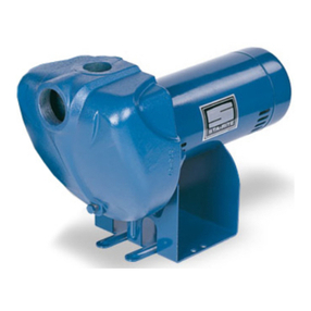 Pentair STA-RITE DS3 Series Installation and operation manual Pentair STA-RITE DS3 Series Installation and operation manual