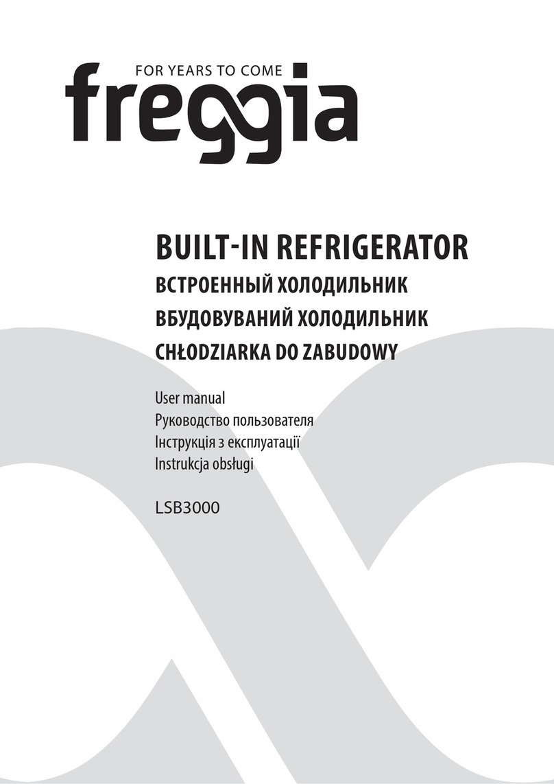 Freggia LSB3000 user manual