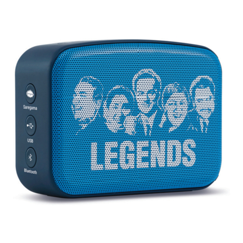 Saregama CARVAAN mini User manual