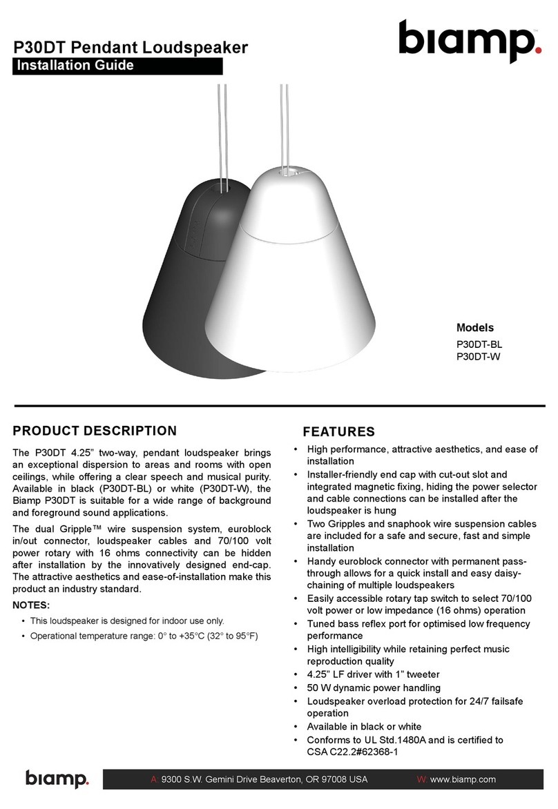Biamp P30DT Series User manual