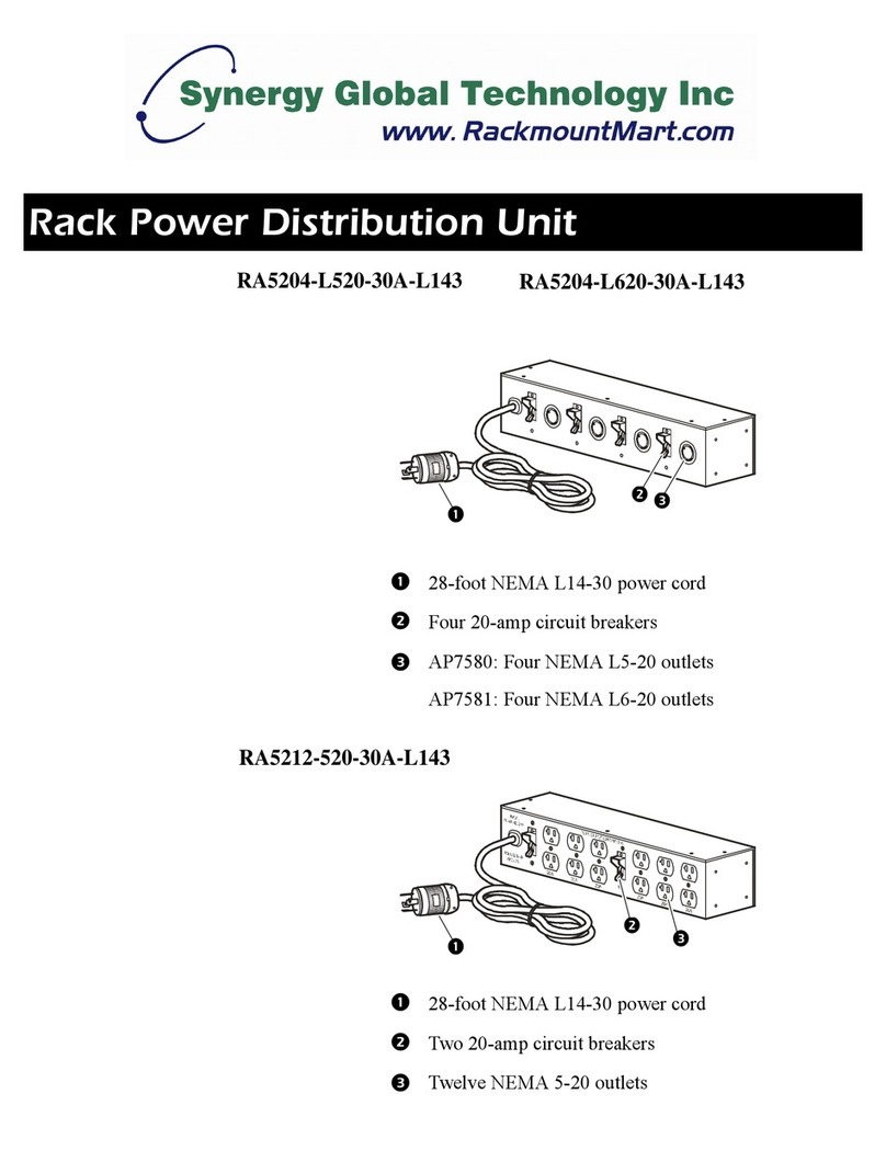 Synergy RA5204-L520-30A-L143 User manual