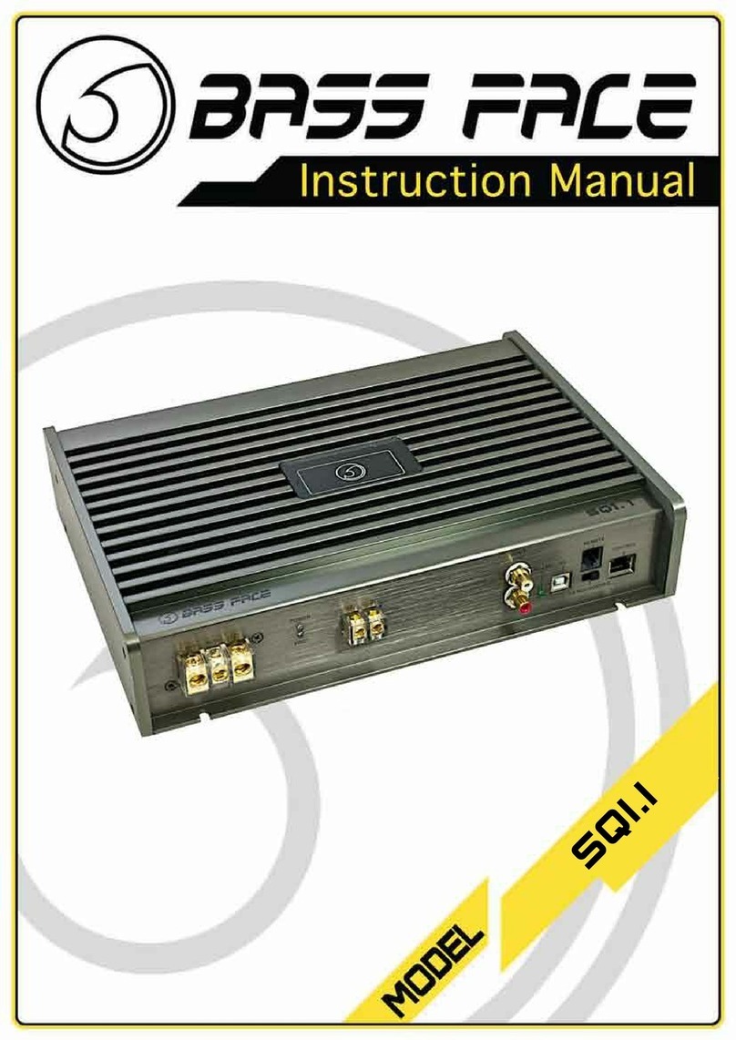 BASSFACE SQ1.1 User manual