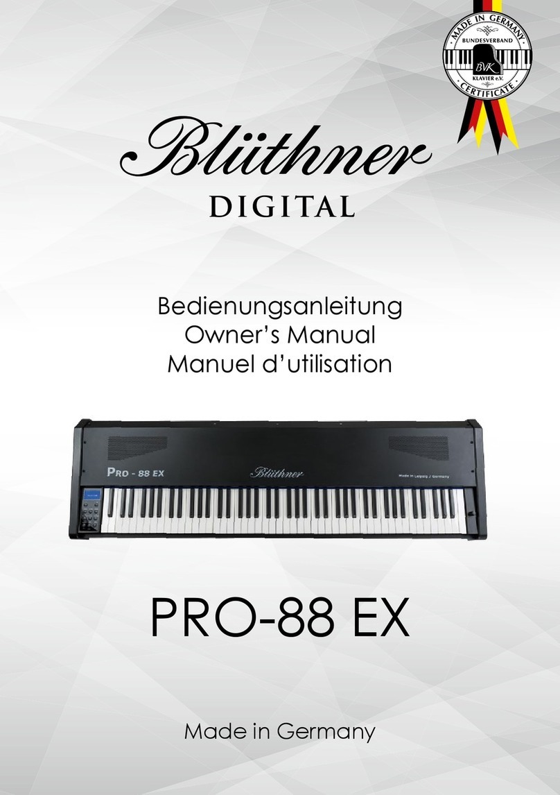bluthner PRO-88 EX owner's manual