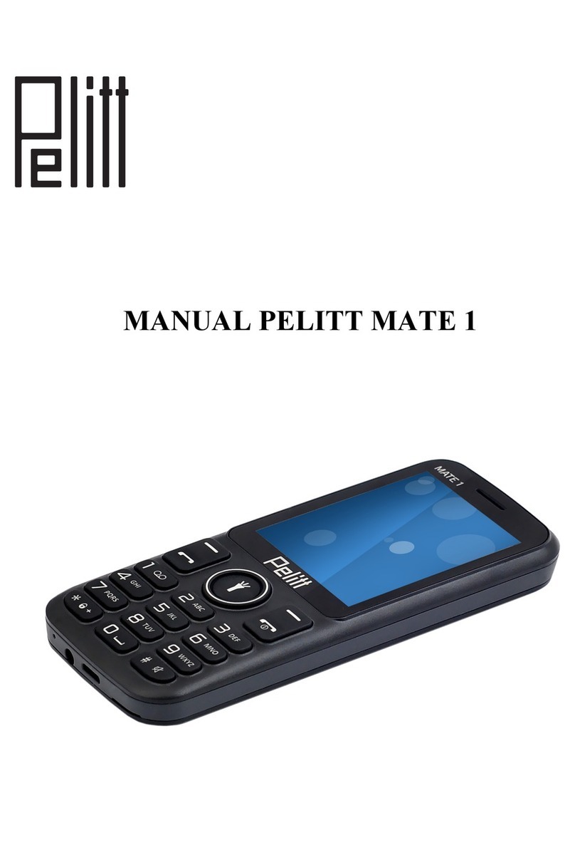 PELITT MATE 1 User manual