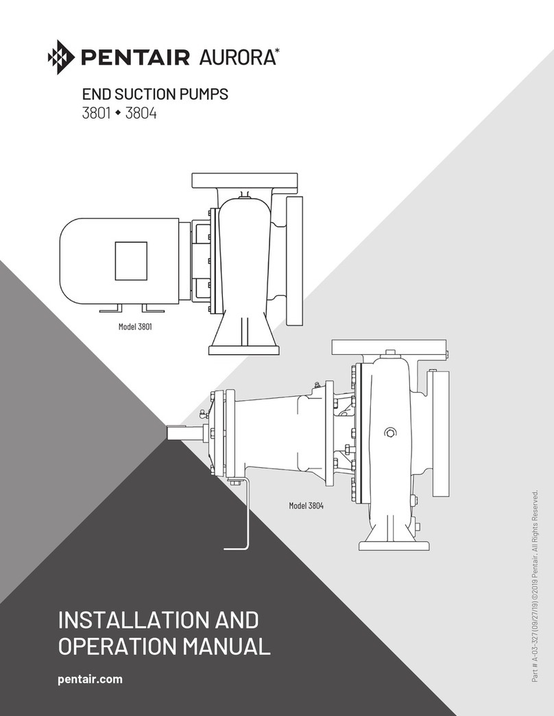 Pentair AURORA 3801 User manual
