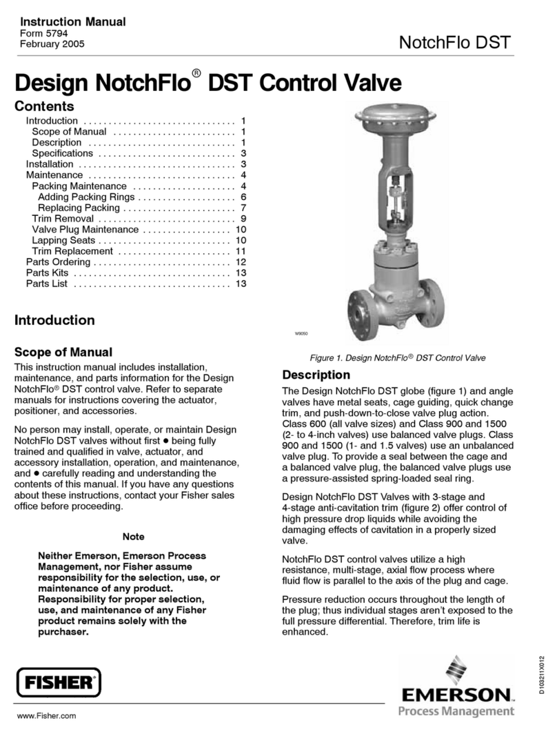 Emerson FISHER NotchFlo DST User manual