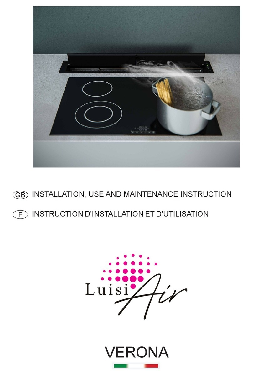 Luisi Air VERONA Installation, use and maintenance instructions