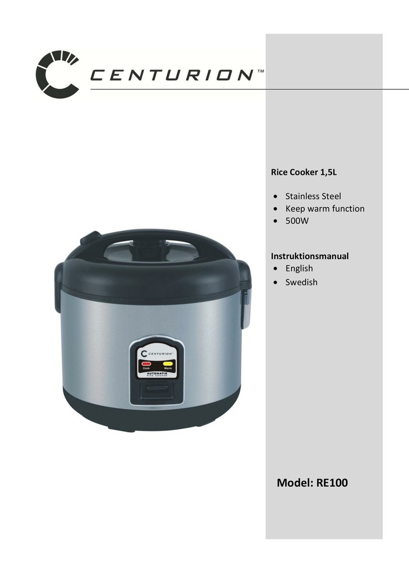 Centurion RE100 manual