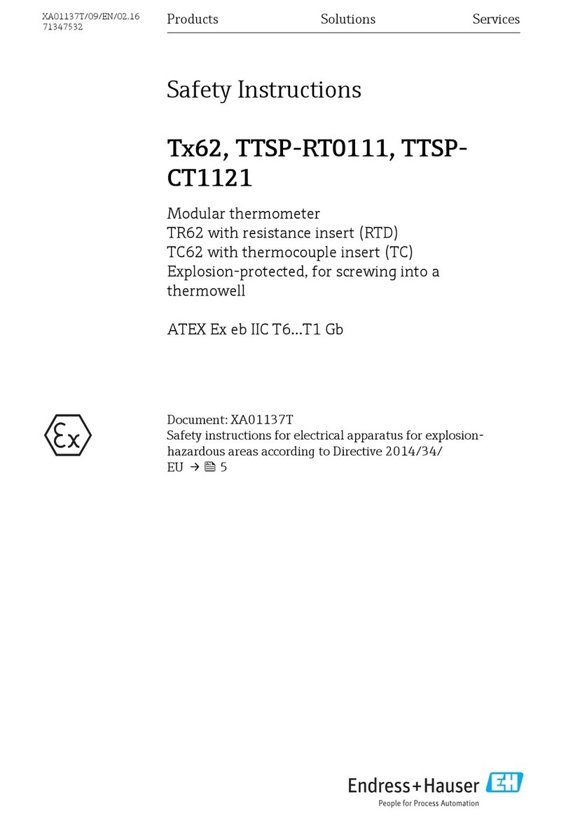 Endress+Hauser T 62 Series Installation instructions