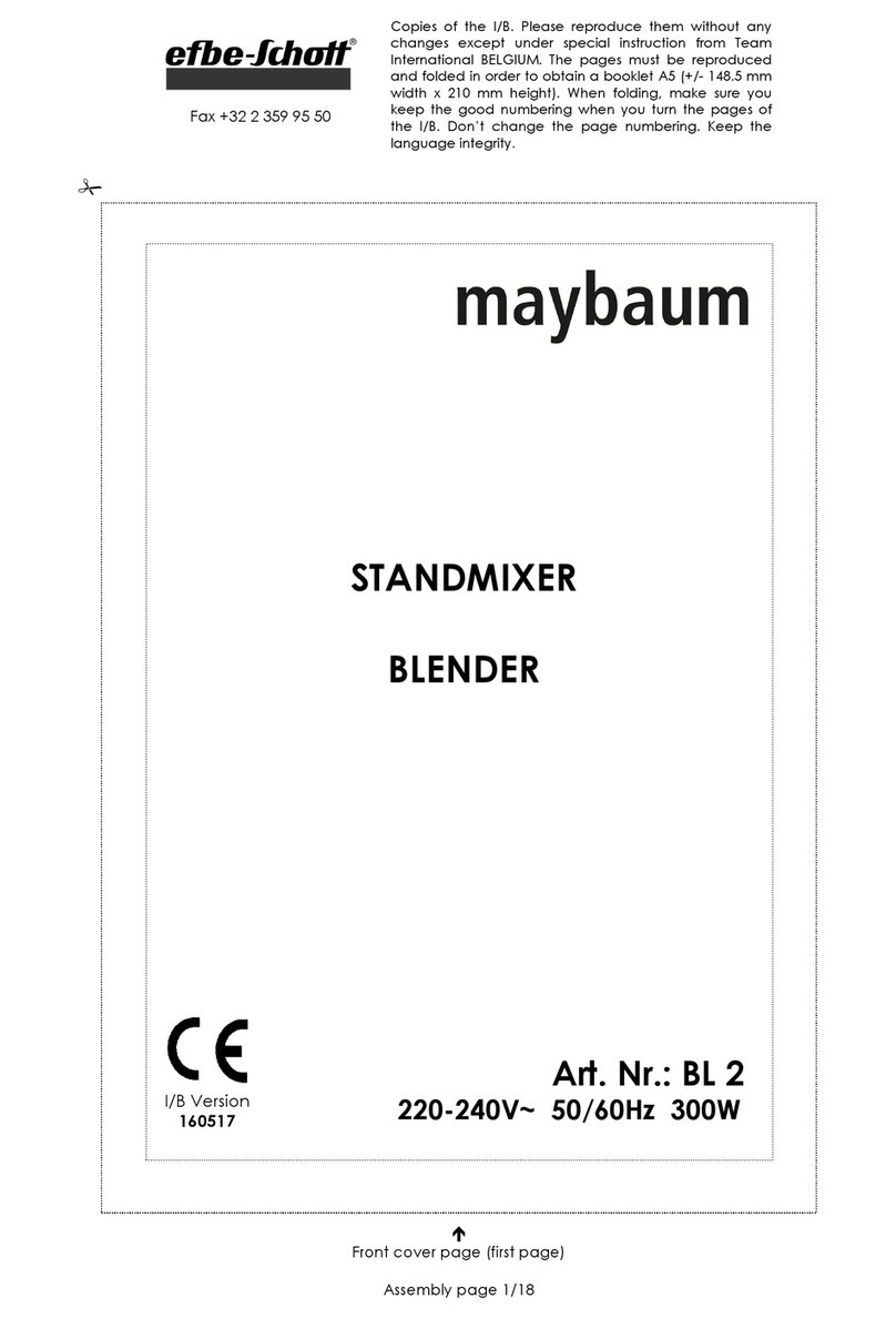EFBE-SCHOTT MAYBAUM BL 2 manual