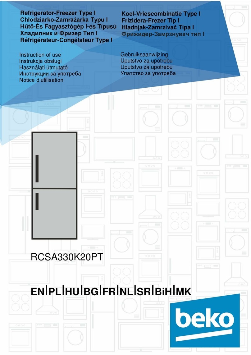 Beko RCSA330K20PT Instructions of use