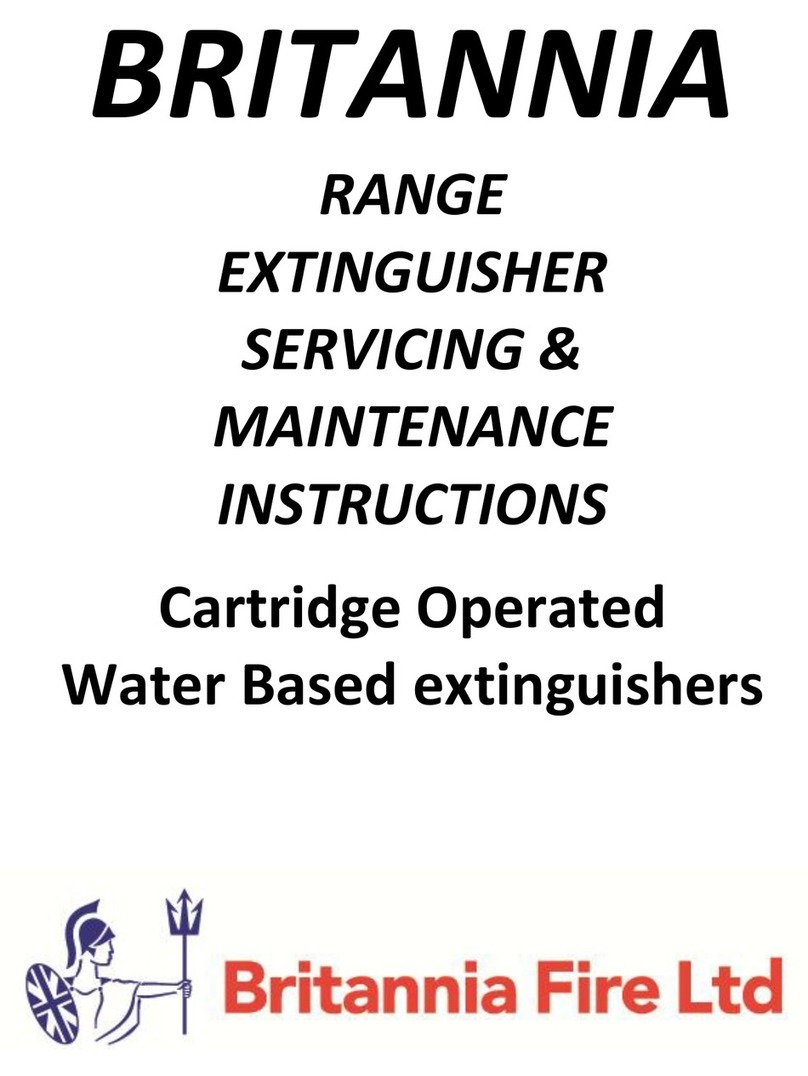 Britannia Fire BW6 SERVICING & MAINTENANCE INSTRUCTIONS