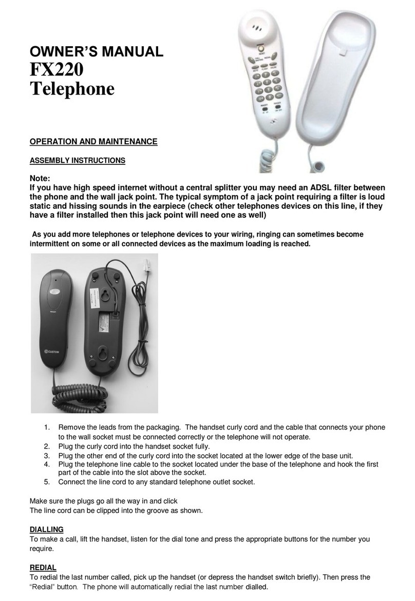 Custom Audio Electronics FX220 User manual