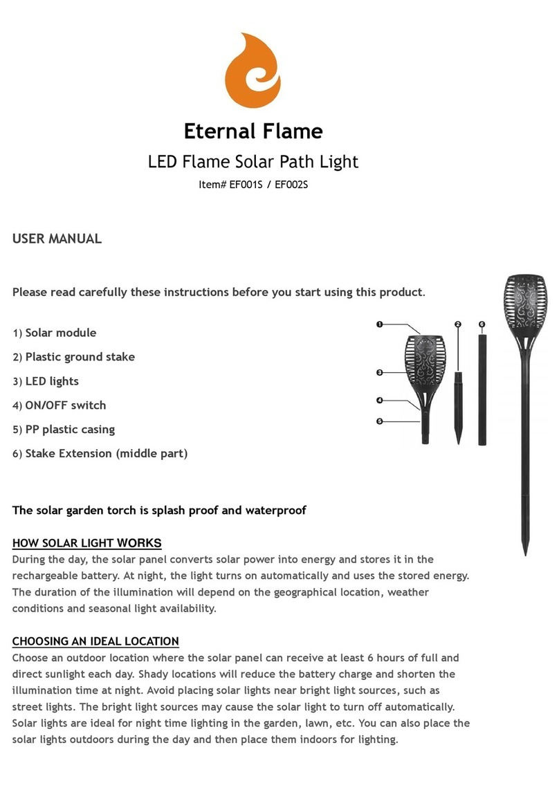 Eternal Flame EF001S user manual