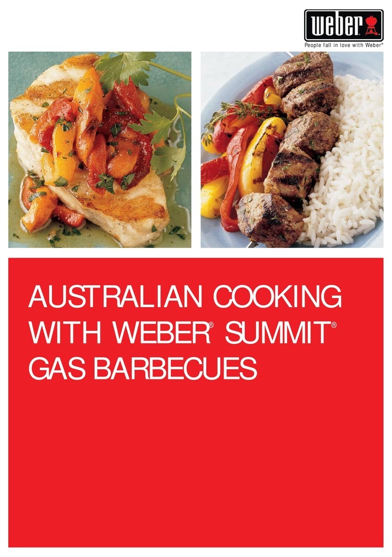 Weber Summit Series User manual
