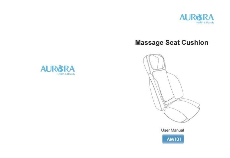 Aurora AM101 user manual