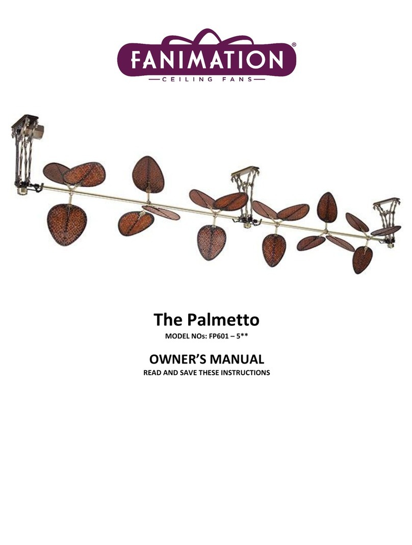 Fanimation Palmetto owner's manual