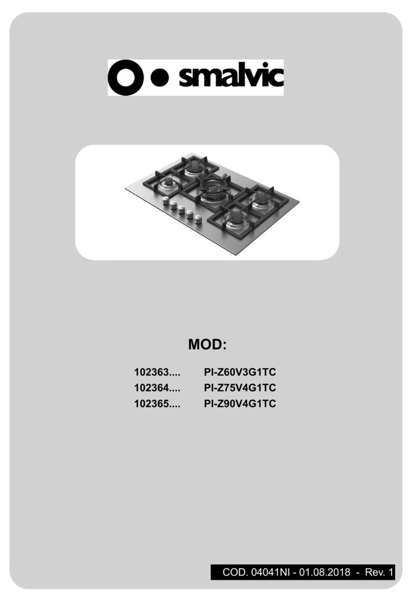 Smalvic PI-Z60V3G1TC User manual