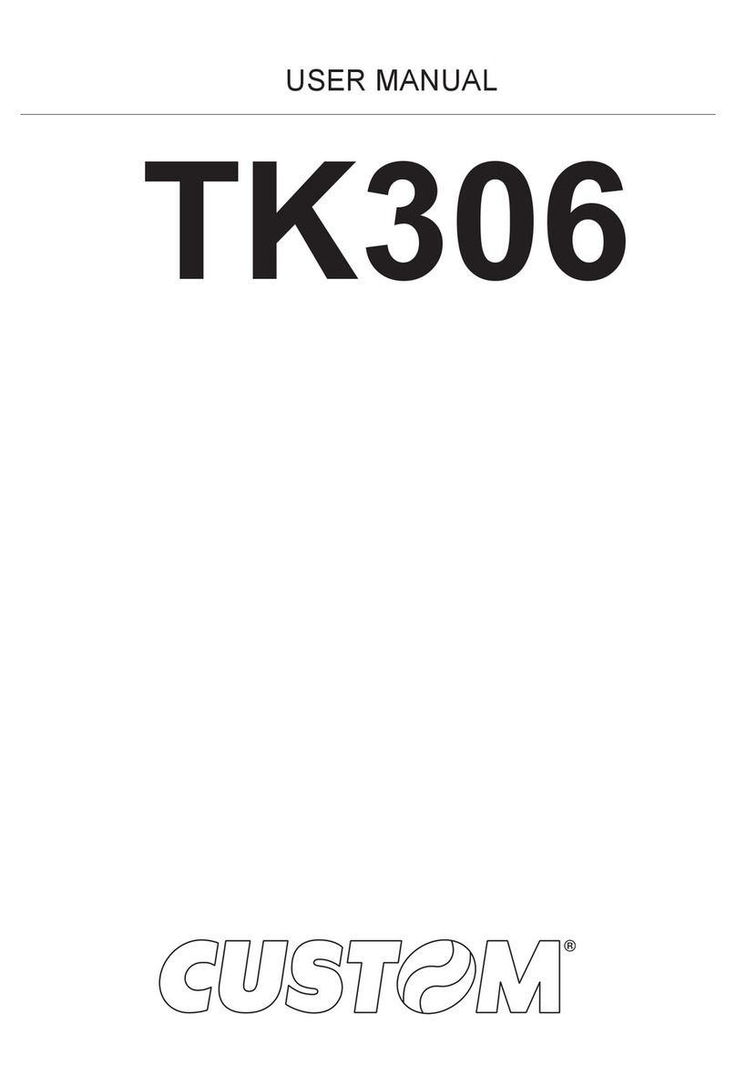 Custom Audio Electronics TK306 User manual